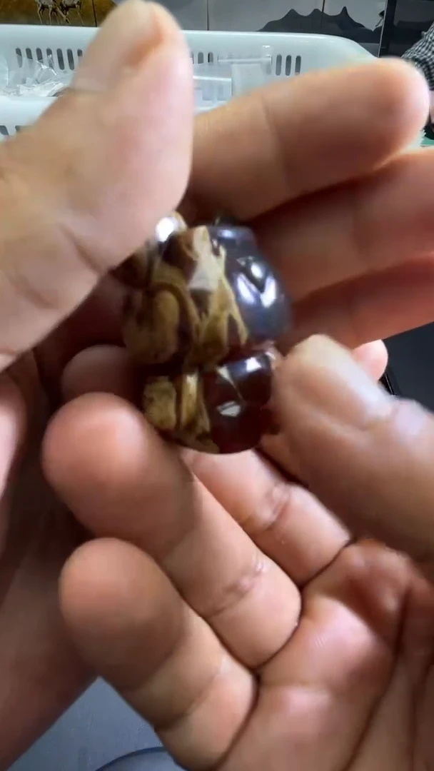 裸石琥珀未镶嵌47