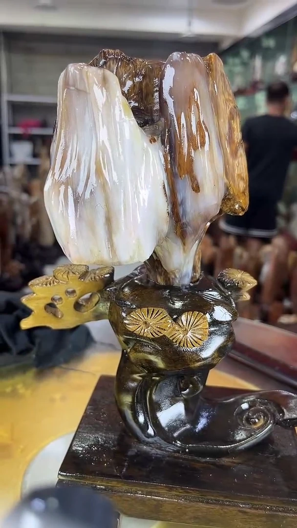 硅化玉珠宝奇石未镶嵌缅甸天然树化玉摆件