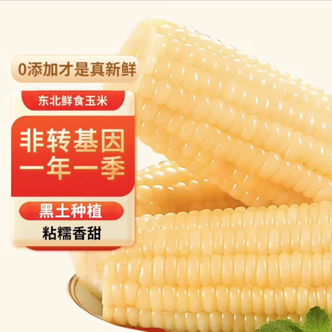 【试吃2段】香甜玉米段玉米香气浓郁 8-10公分10根装5.5斤左右