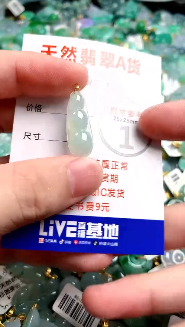 翡翠18K金镶嵌颈饰26100779