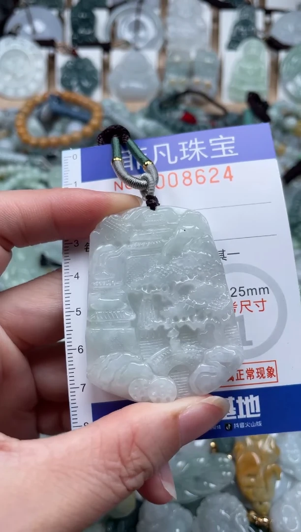 翡翠未镶嵌颈饰00..8624