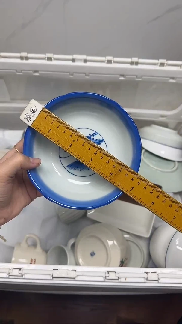 【闪购商品】494回流瓷器默认微瑕，18.8包邮