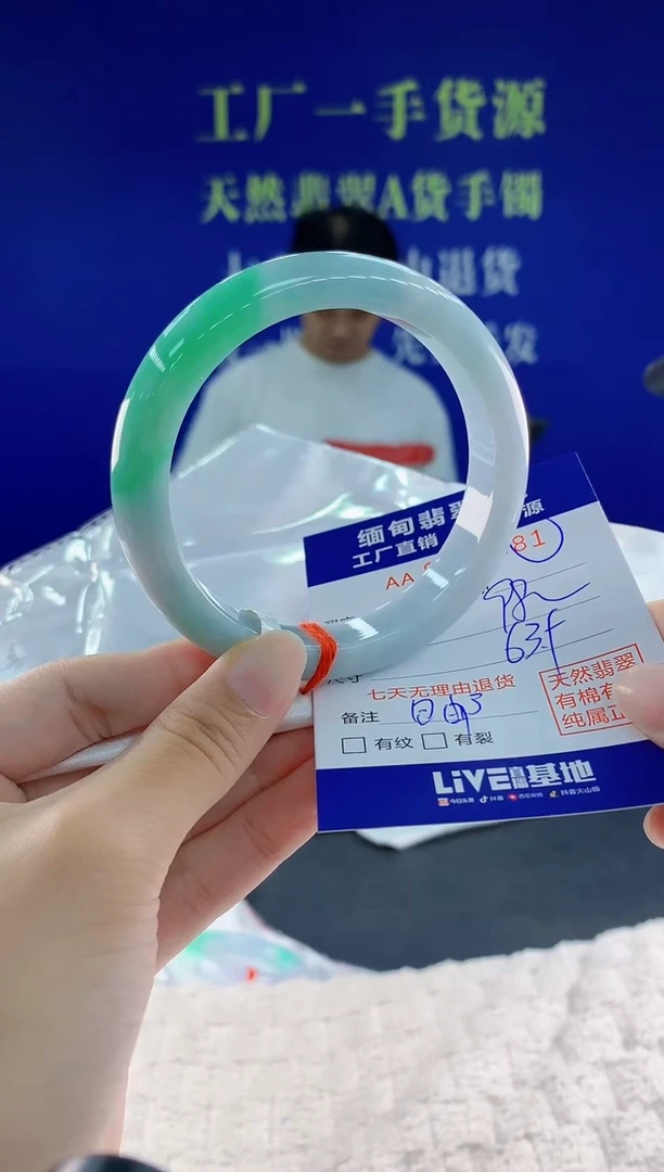 未镶嵌手镯翡翠81