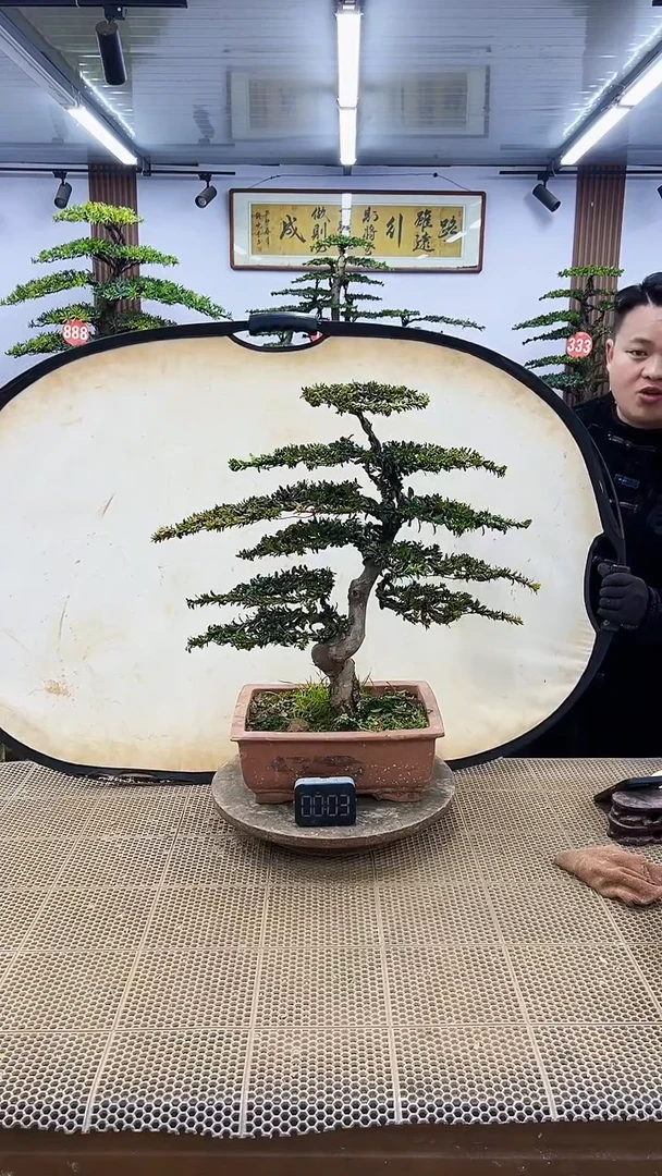 【闪购商品】00000000000