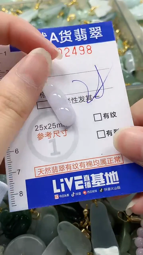 颈饰未镶嵌翡翠纯天然a货翡翠