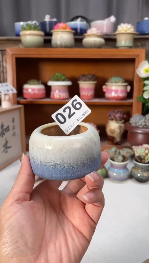 瓷片026知木小芳花盆