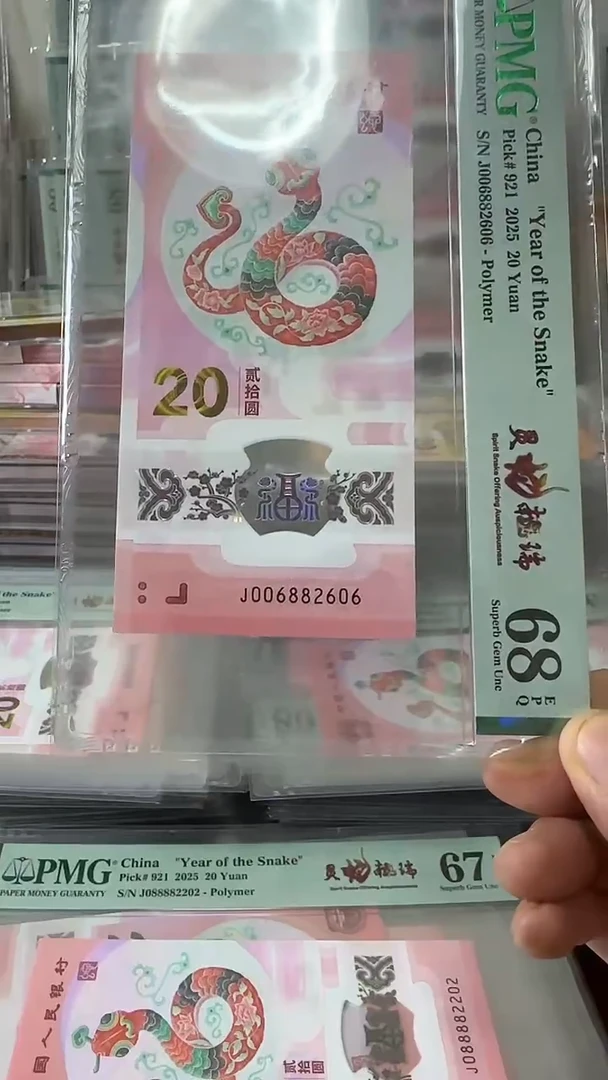 塑料006882606-蛇钞单张