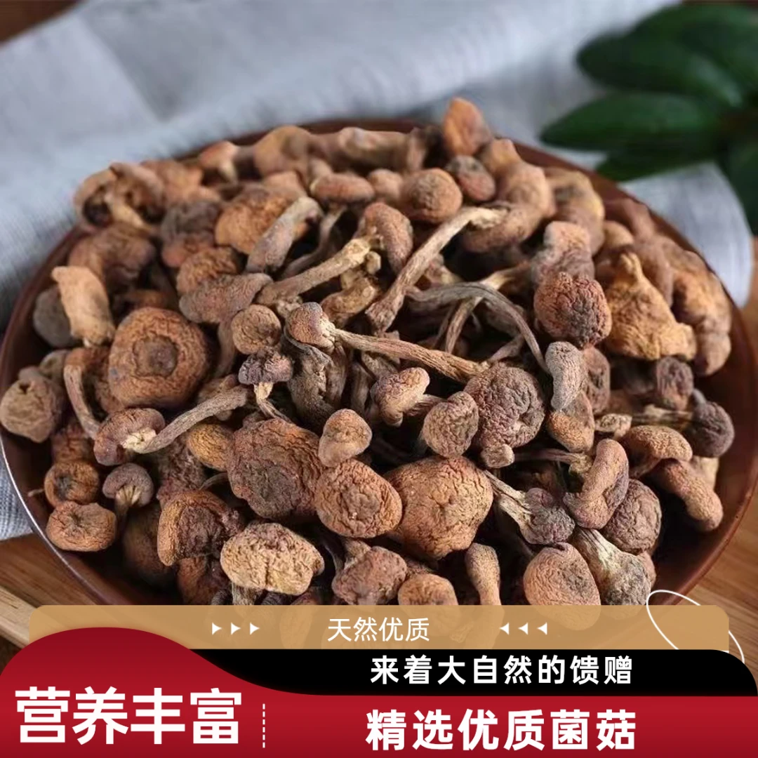 【正宗东北榛蘑】源自大自然的馈赠，天然无污染榛蘑，东北深山直采
