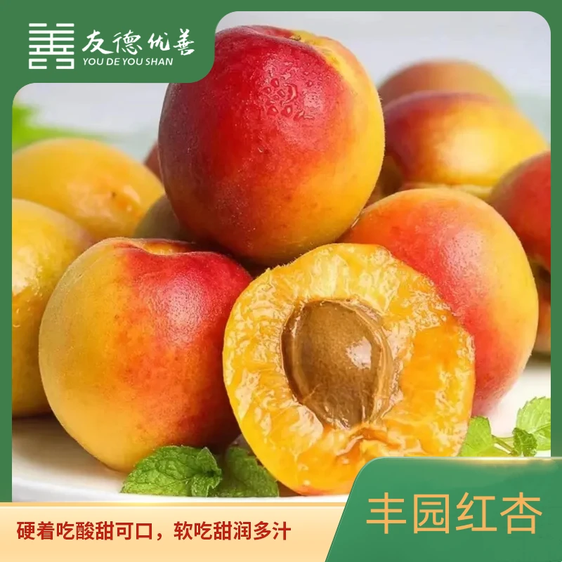 【友德优善】陕西丰园红杏 2斤（12-15枚）/4斤 （24-30枚）