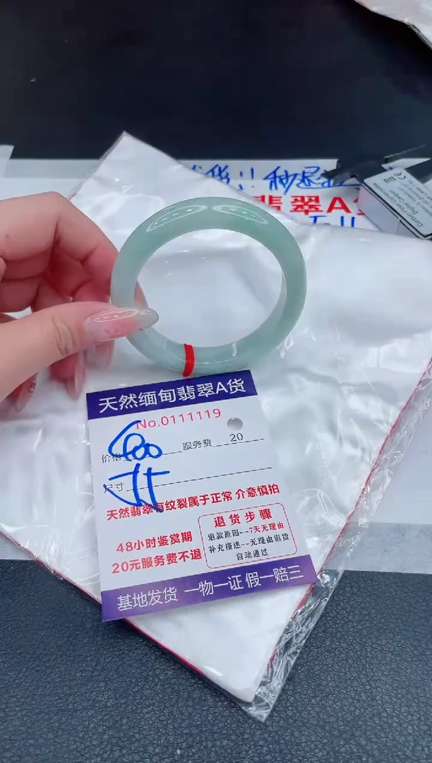 未镶嵌手镯翡翠1