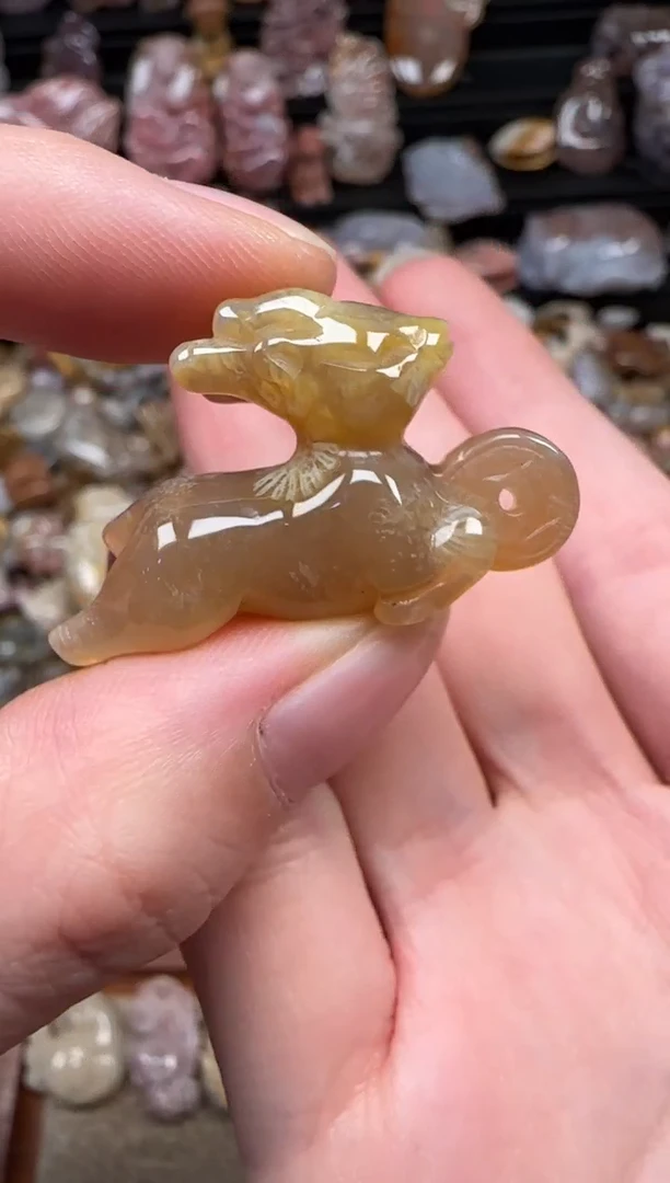 颈饰未镶嵌硅化珊瑚（珊瑚玉）645