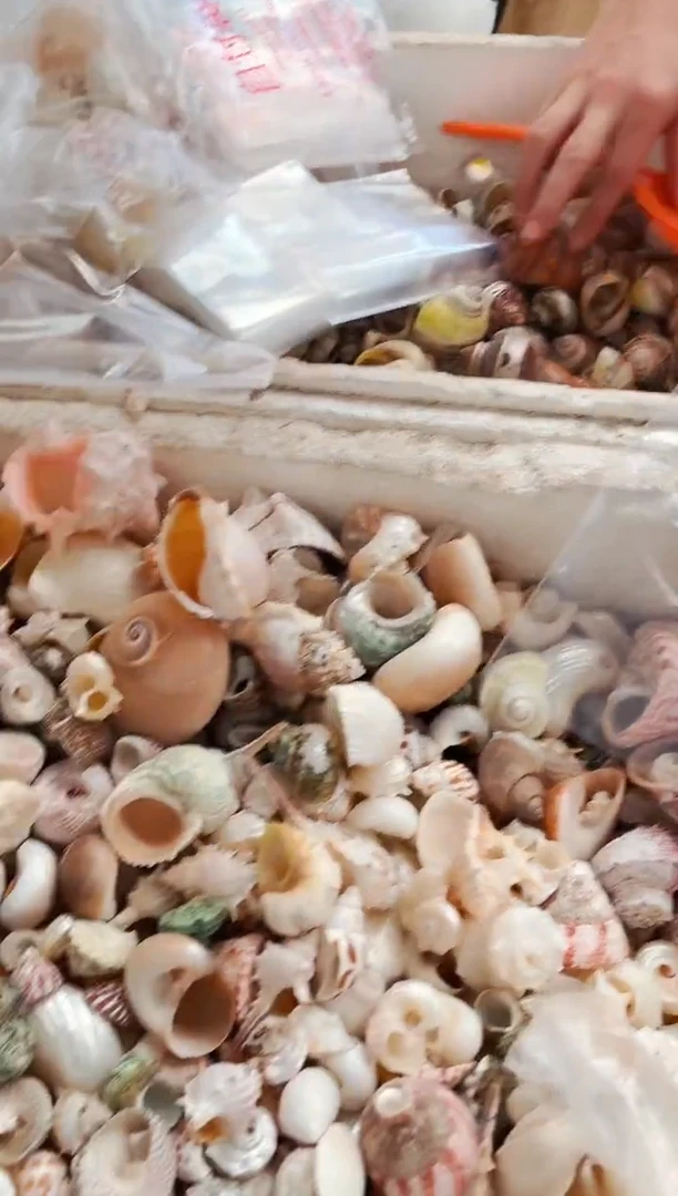 捡大漏有瑕壳两包