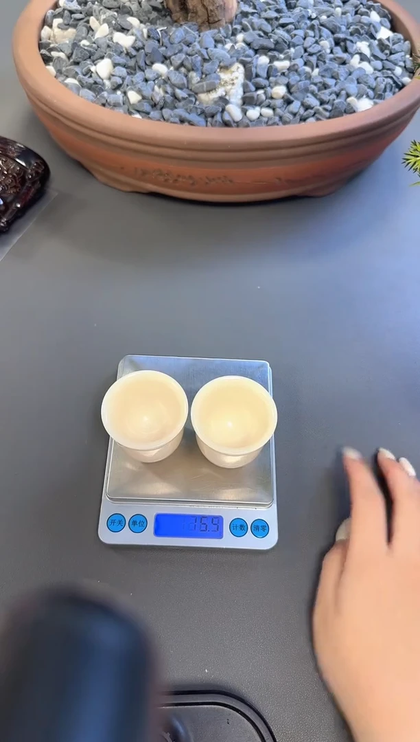 猛犸短润杯子一对