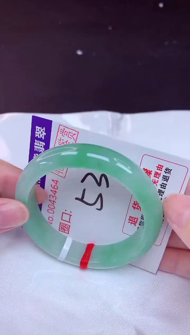 未镶嵌手镯翡翠53（48小时鉴赏期 ）