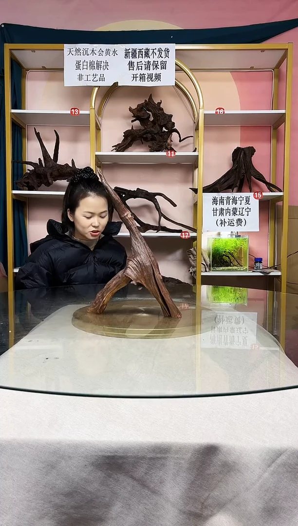 K*鱼缸沉木一物一拍A796
