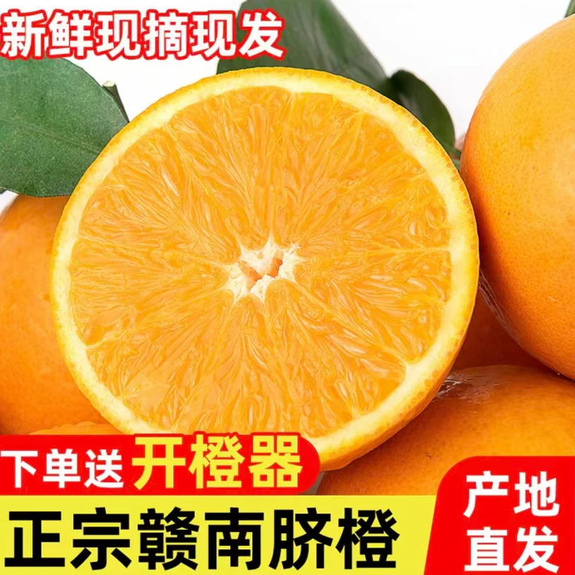 助力正宗江西赣南脐橙4.5斤9斤装果园现摘现发 新鲜多汁孕妇水果