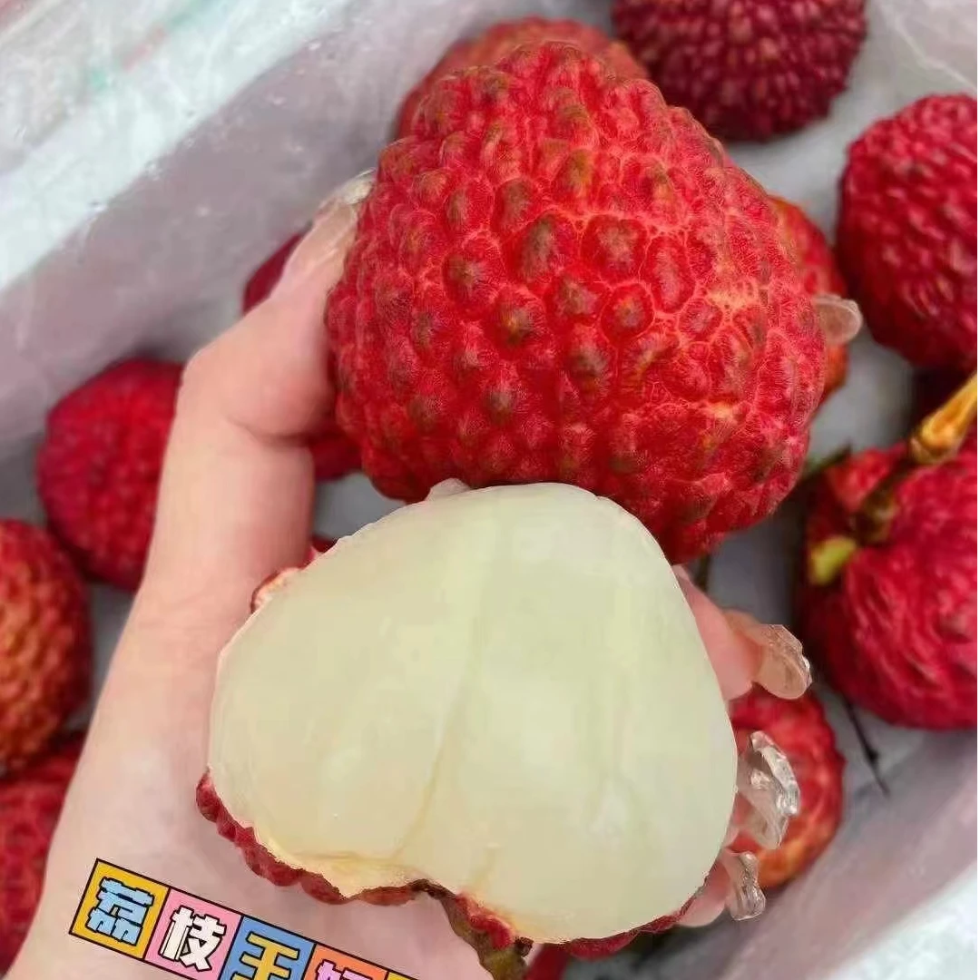 【空运荔枝王】今天拍明天到 40g起步精品特大果 空运货（2/3/5斤）新鲜