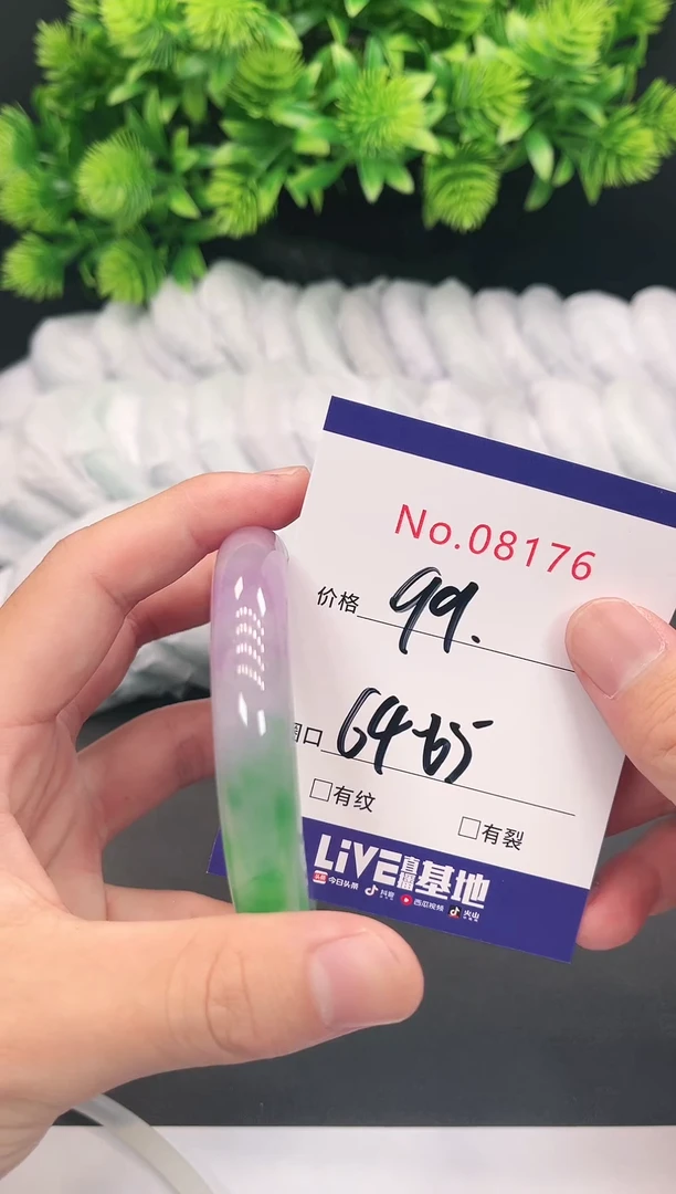 未镶嵌手镯翡翠8176