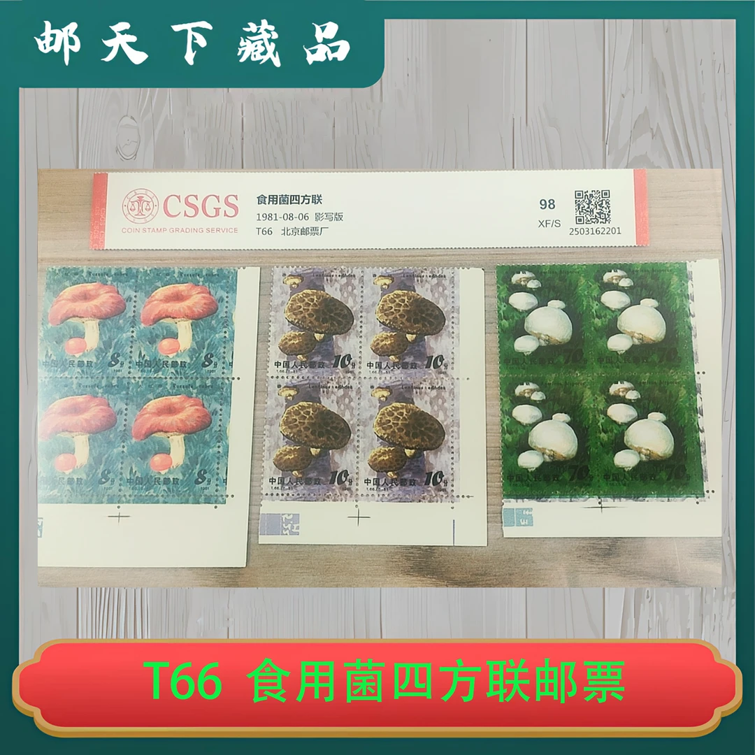 T66 食用菌四方联邮票 国恒鉴评98分