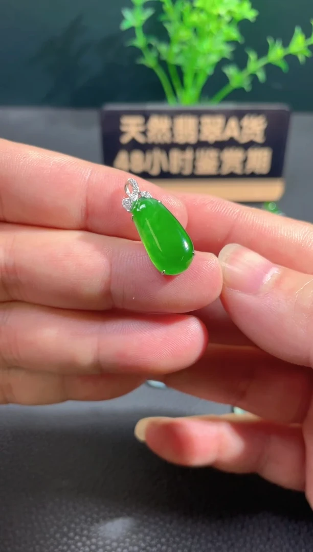 【闪购商品】翡翠颈饰18K金镶嵌翡翠