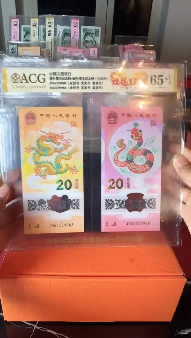 塑料2025 龙蛇全同号一对 啊啊啊如图