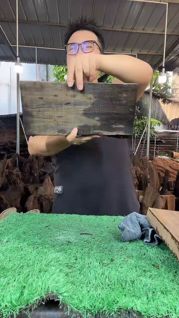 金丝楠小叶桢楠178