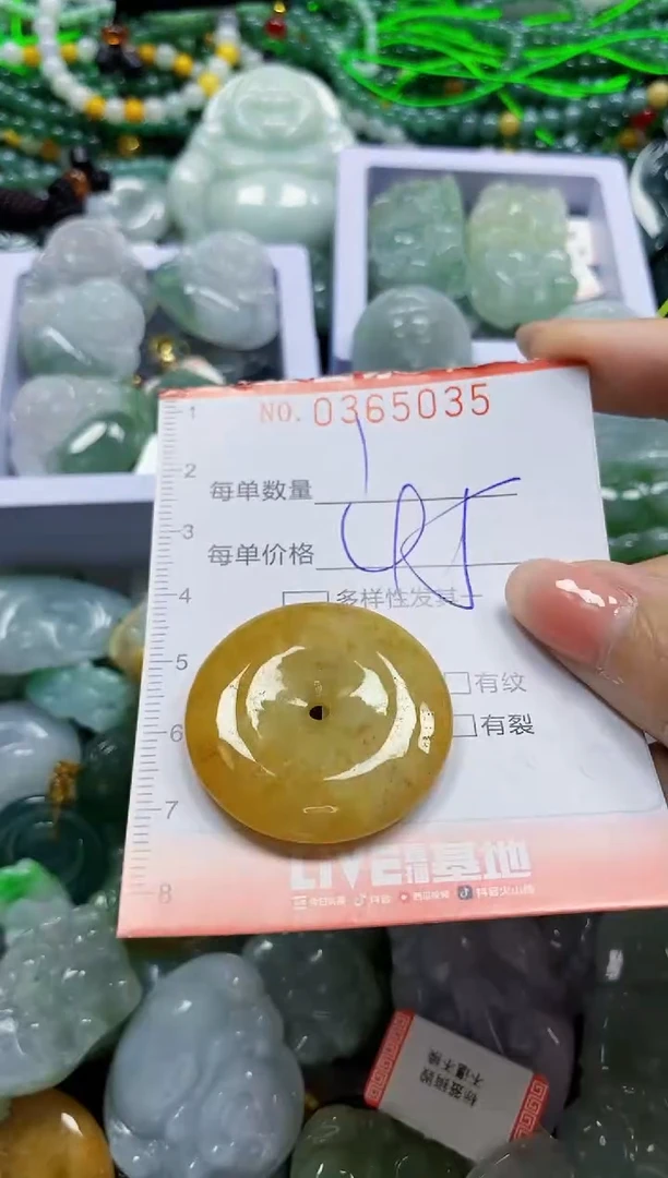 颈饰未镶嵌翡翠翡翠闪购Y0365035