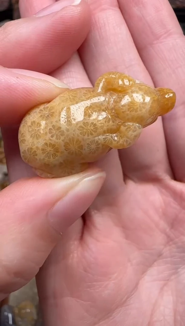 颈饰未镶嵌硅化珊瑚（珊瑚玉）388
