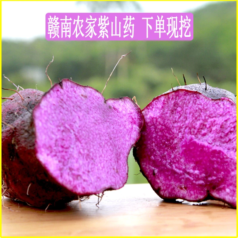 2025年新鲜现挖江西赣南特产紫山药脚板薯大薯古天根紫玉淮山