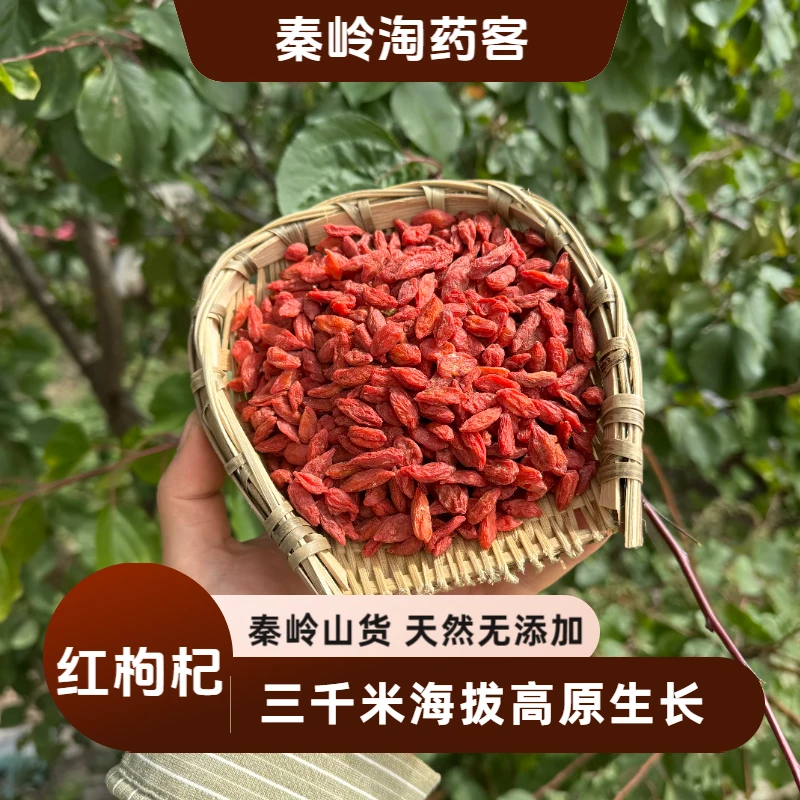 甘肃深山采摘头茬红枸杞免洗大颗粒正宗新货可干吃可泡水滋补佳品