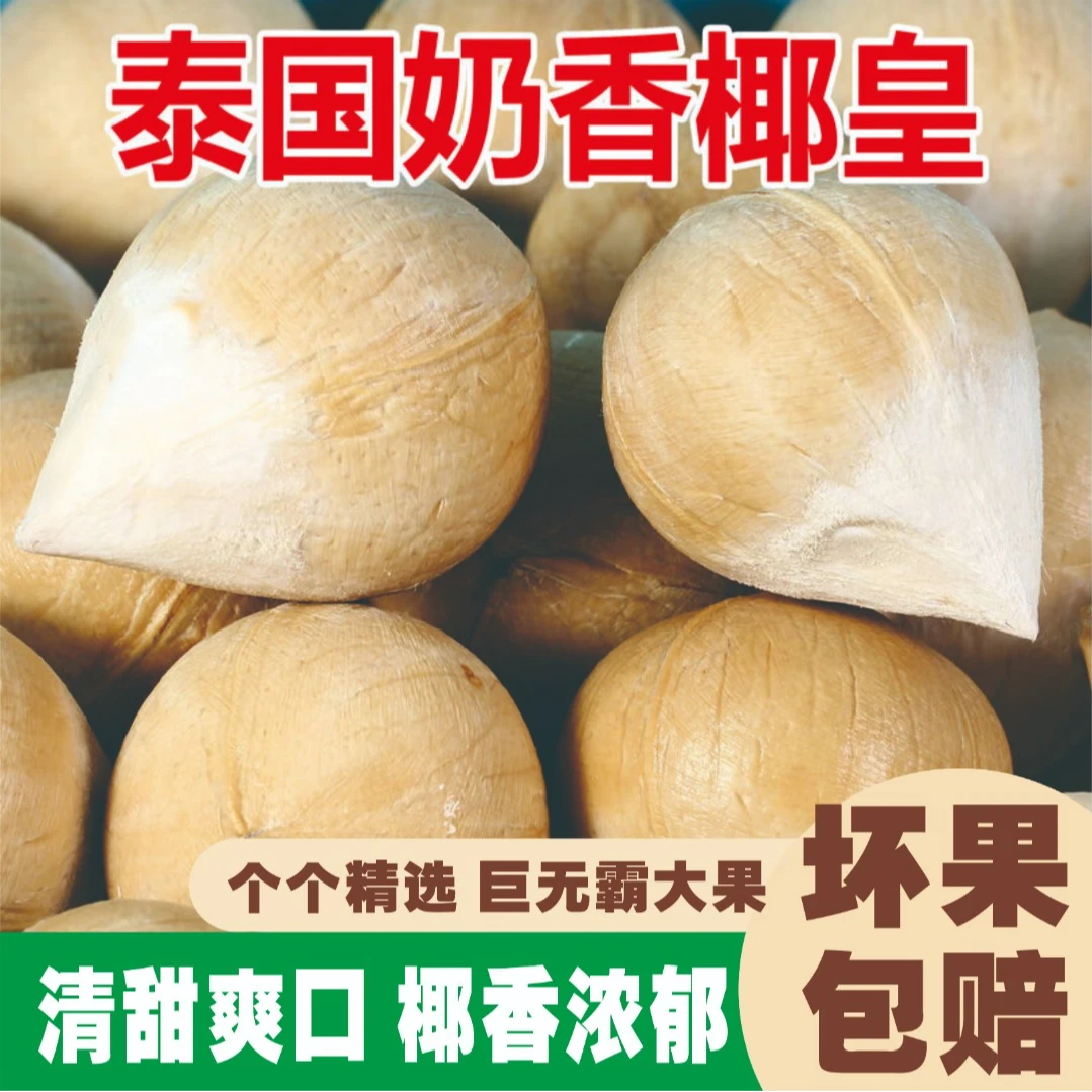 泰国进口奶香椰皇新鲜椰子孕妇宝宝应季水果椰皇椰汁当季水果包赔