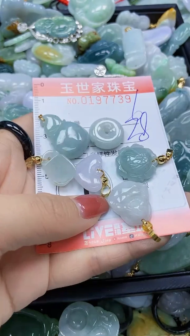 【闪购商品】翡翠颈饰未镶嵌闪购0197739