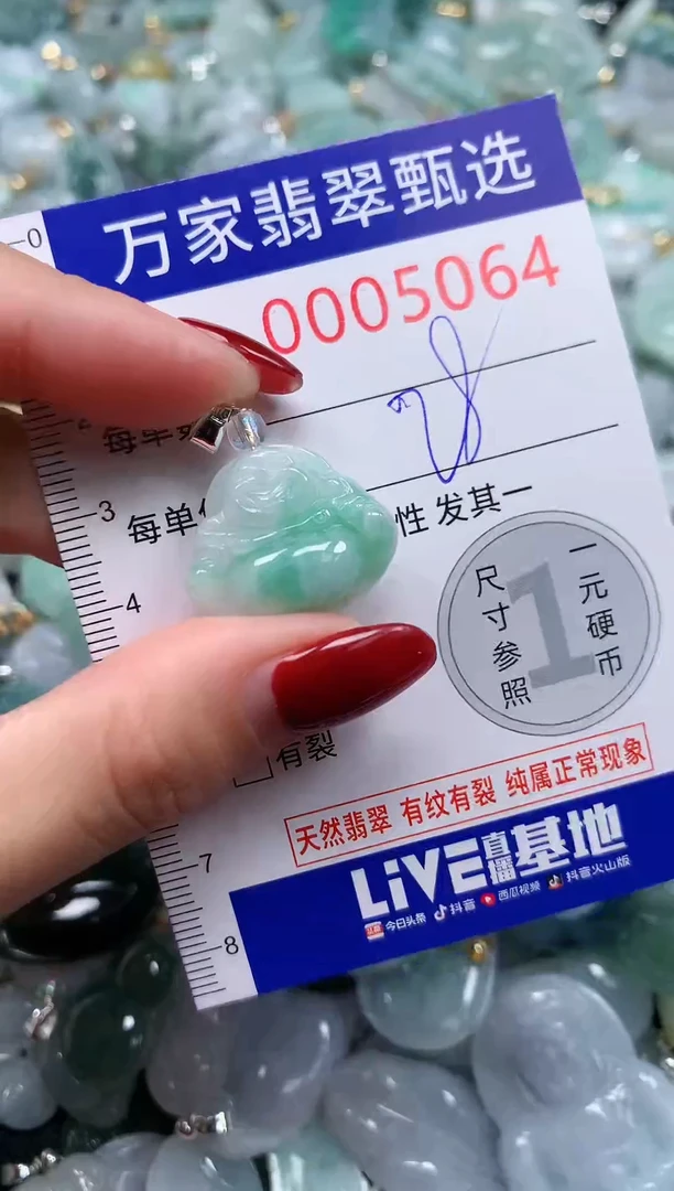 颈饰未镶嵌翡翠5064