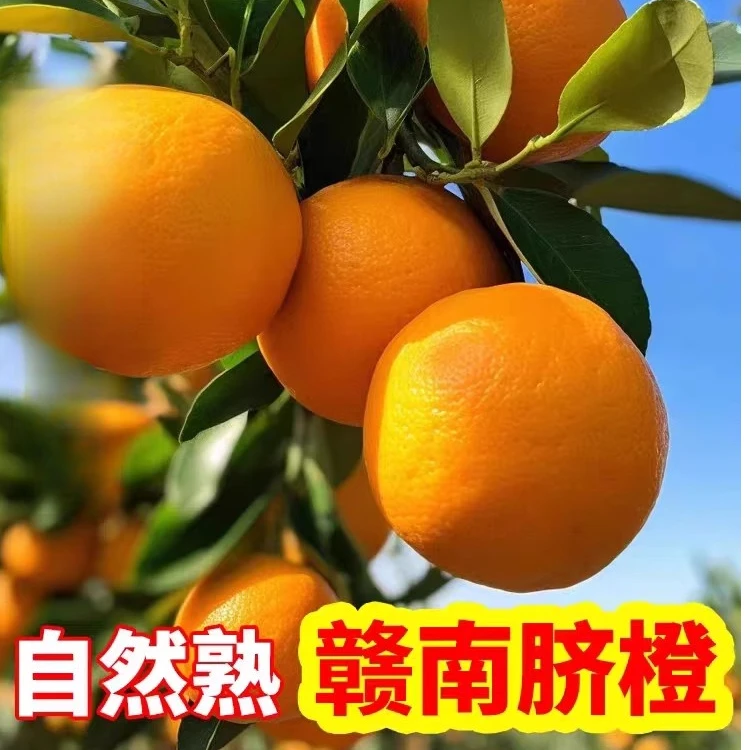 正宗江西赣南脐橙特级大果新鲜橙子产地直发整箱包邮