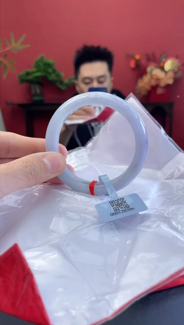 未镶嵌手镯翡翠7
