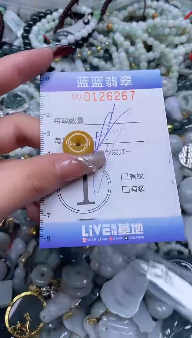 【闪购商品】翡翠颈饰未镶嵌闪购0126267多样性发其一