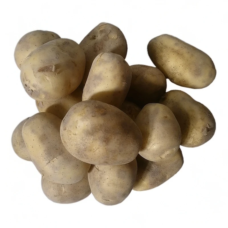 贵州黔北农村季节性洋芋（黔北农产品）