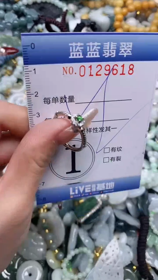 【闪购商品】翡翠颈饰未镶嵌闪购0129618