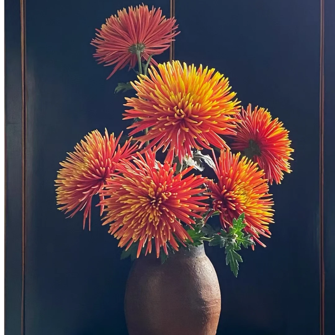 【独鬏鬏优选】A级鲜花 [烟花菊] 顺丰冷链配送 鲜活现摘好养护