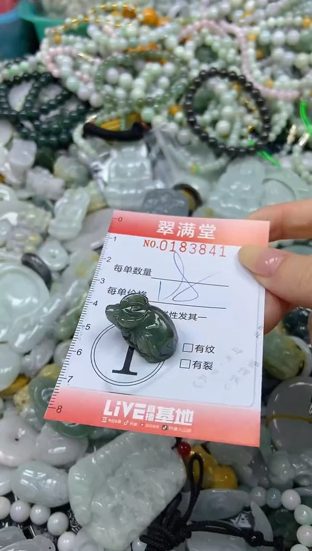 颈饰未镶嵌翡翠闪购0183841