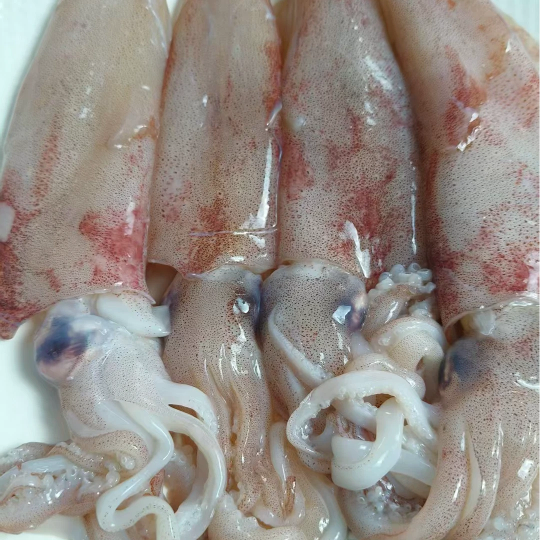 深海海钓火箭鱿鱼