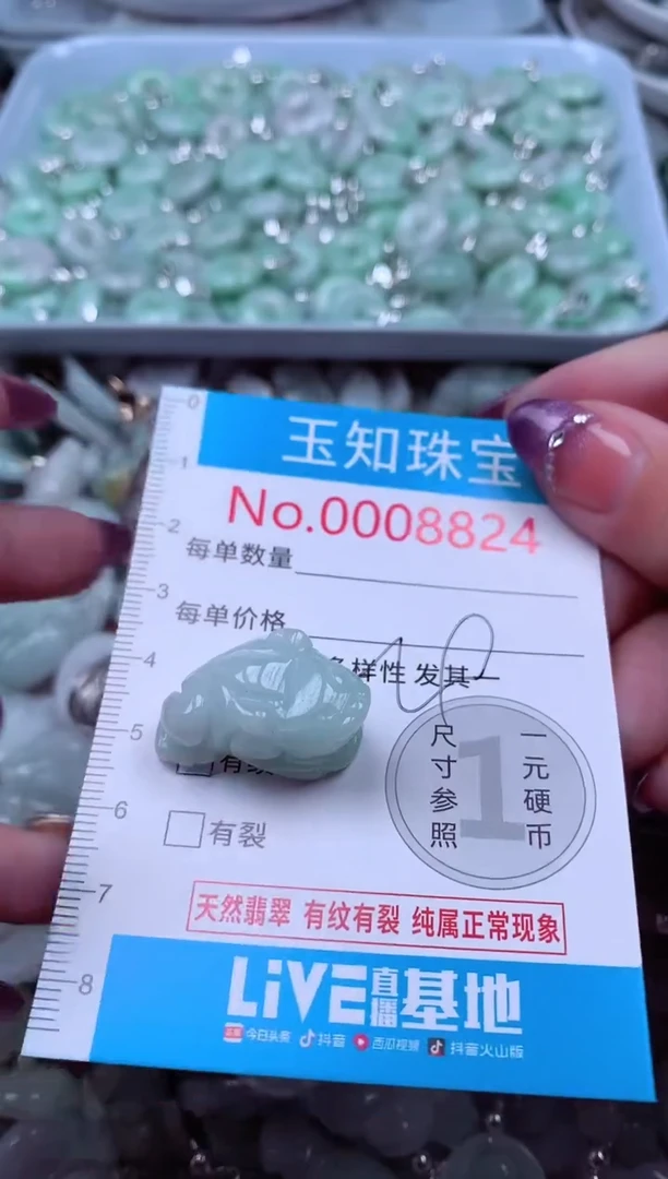 翡翠未镶嵌吊坠(不含链)8824