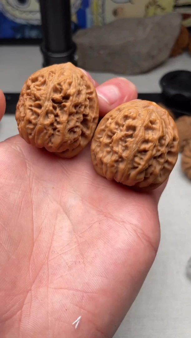 把件文玩核桃杨**理1214- 杨梅道理-凤凰台