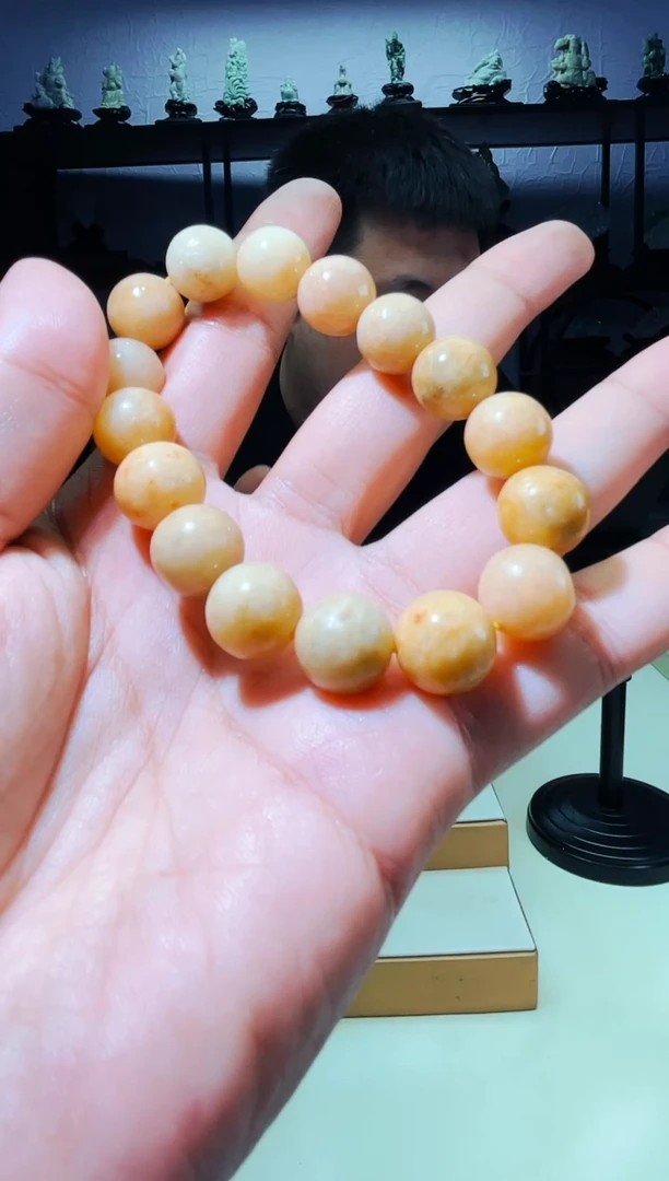 【闪购商品】翡翠颈饰未镶嵌多样性发其一03030094