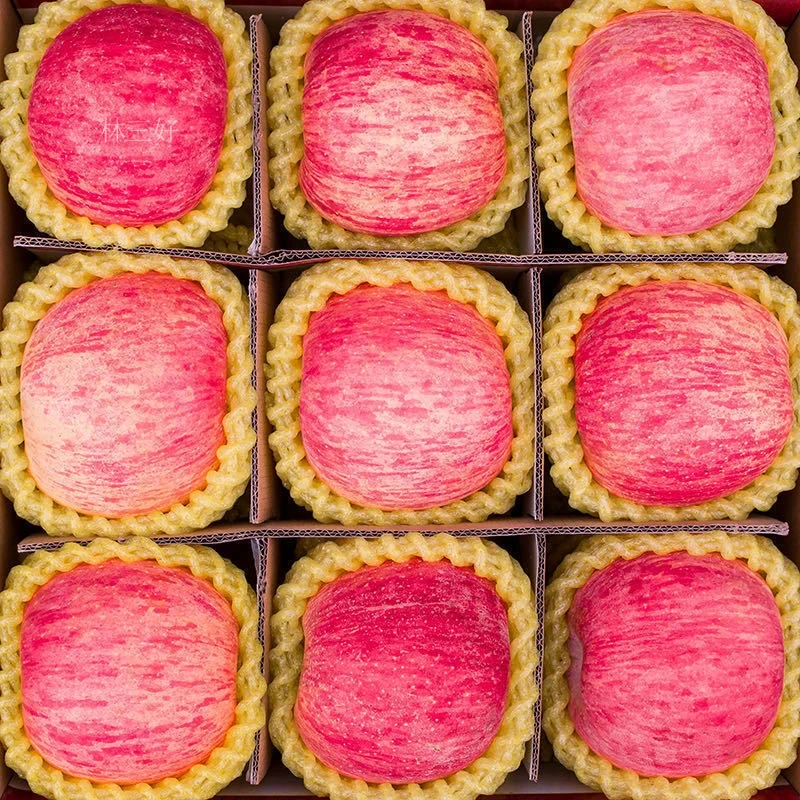 【十斤特大果】正宗烟台栖霞红富士苹果产地直发整箱批发