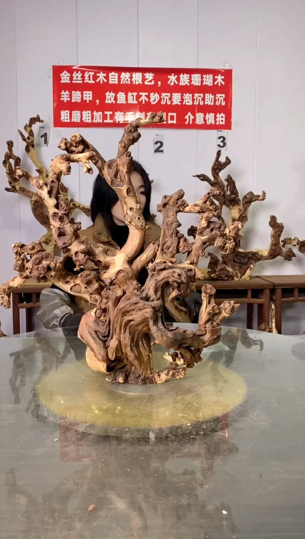 【闪购商品】木金丝红木 羊蹄甲