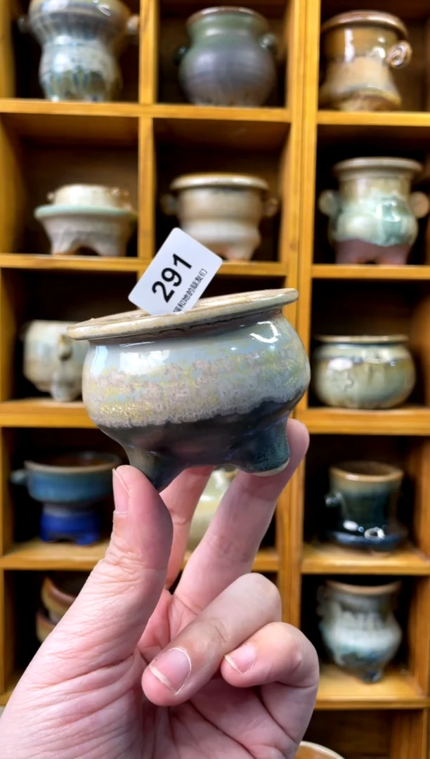 291【多肉花盆多肉盆】