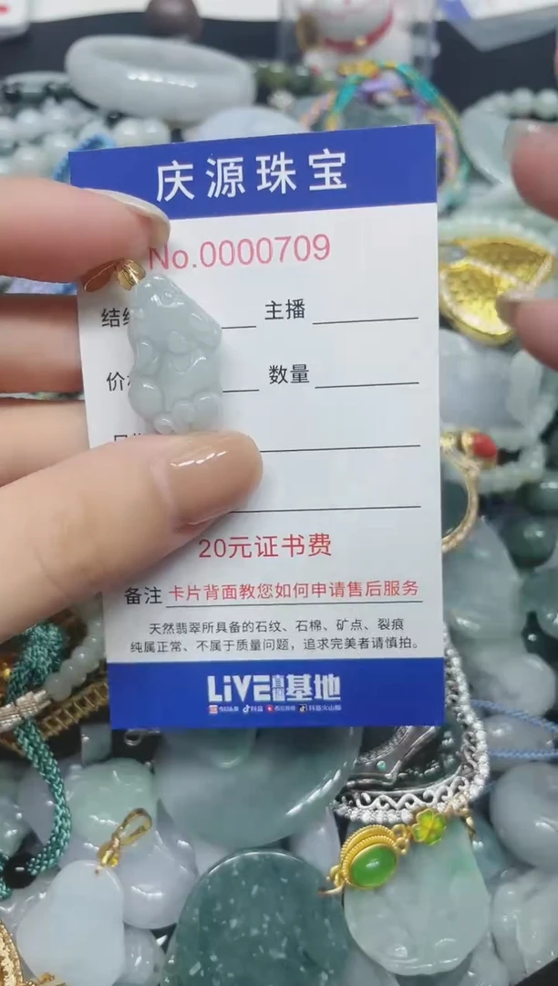 翡翠未镶嵌颈饰109