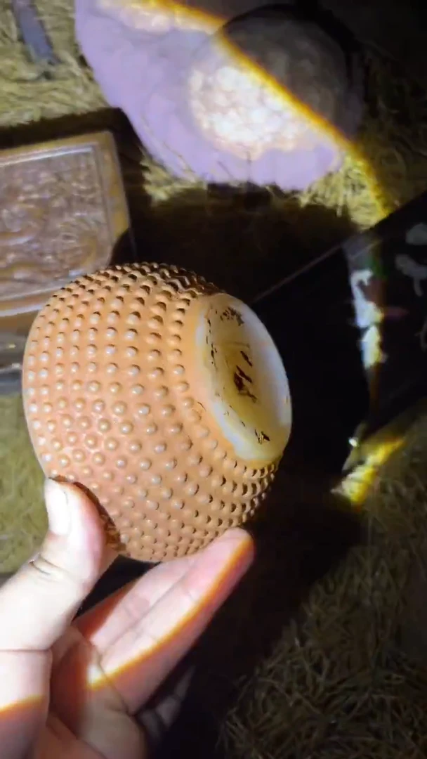 多多专属精品链接