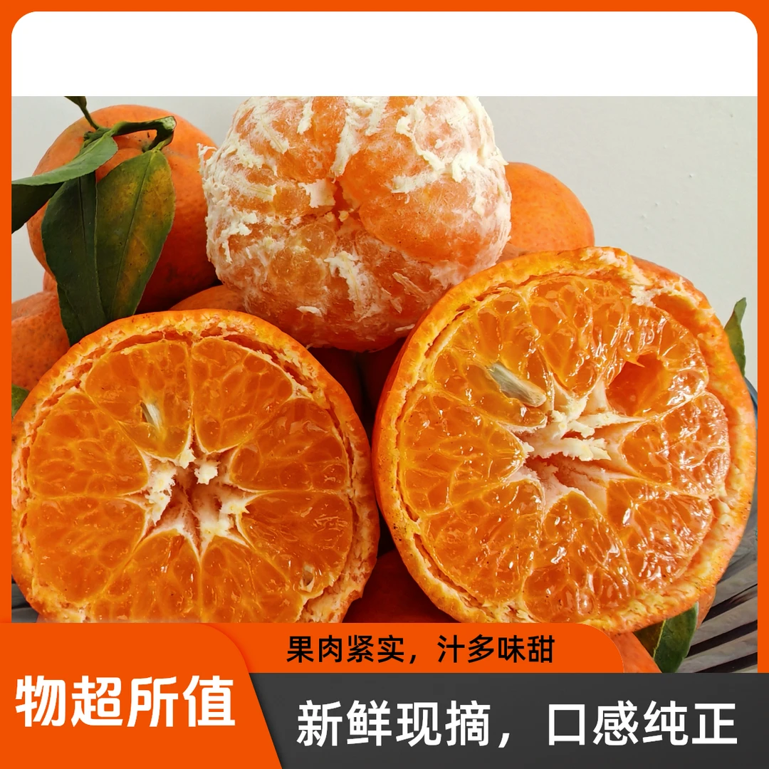 云南正宗高原砂糖橘阳光下的橘子孕妇超甜不上火好吃新鲜采摘超甜